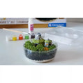 Terrarium de la cabane de Hagrid